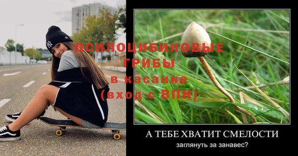 дмт Баксан