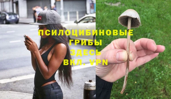 гидропоника Балахна