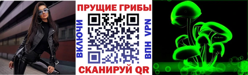 Псилоцибиновые грибы Magic Shrooms  Питкяранта 